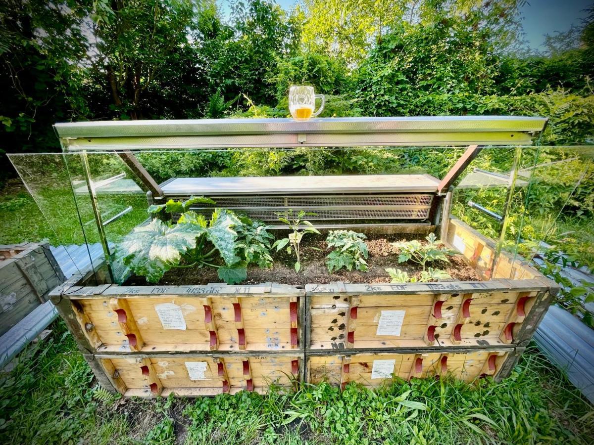 Haraburdi Recyclart Hotel Kostelec nad Orlicí Zewnętrze zdjęcie